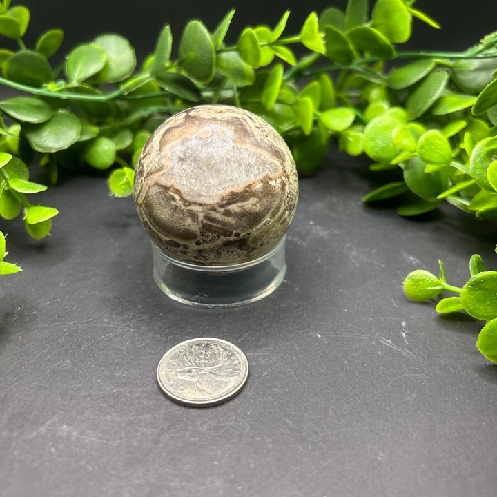 Rhyolite 50mm Sphere