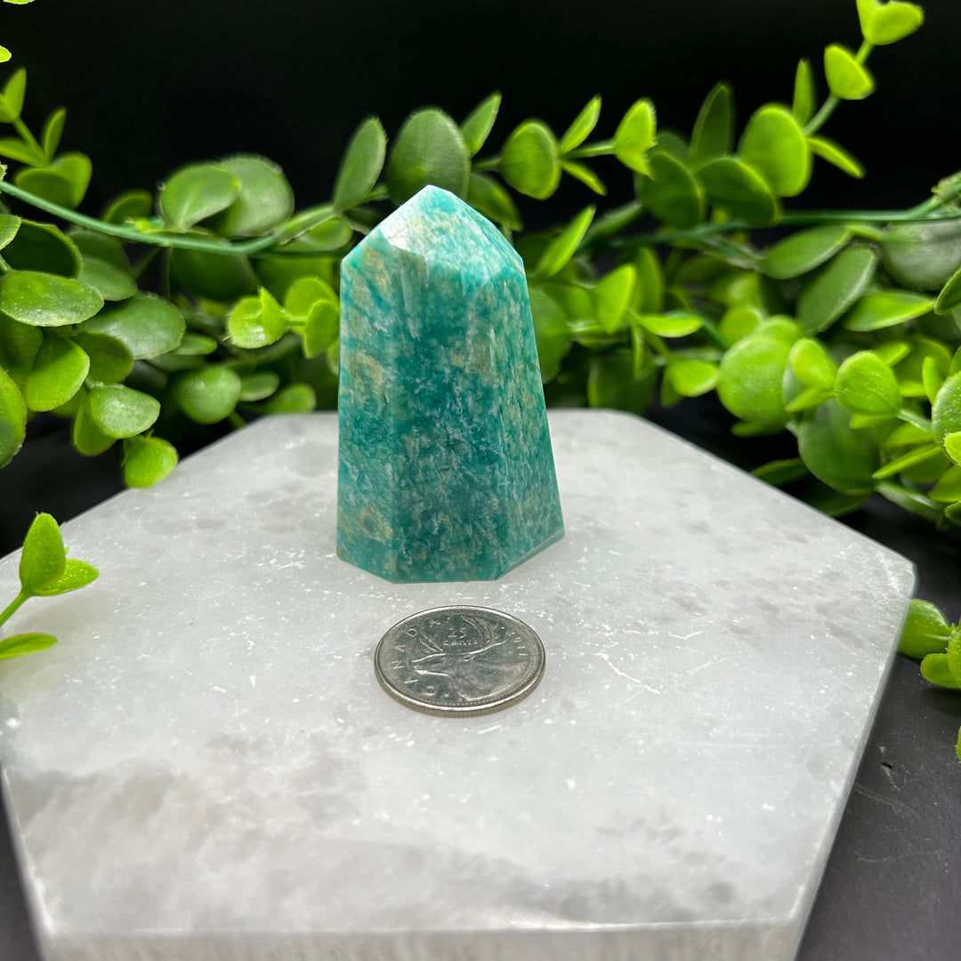 Amazonite Polished Point (#1)