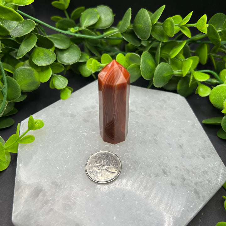 Carnelian Polished Point (#8)