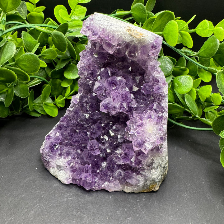 Amethyst Standing Cluster #1