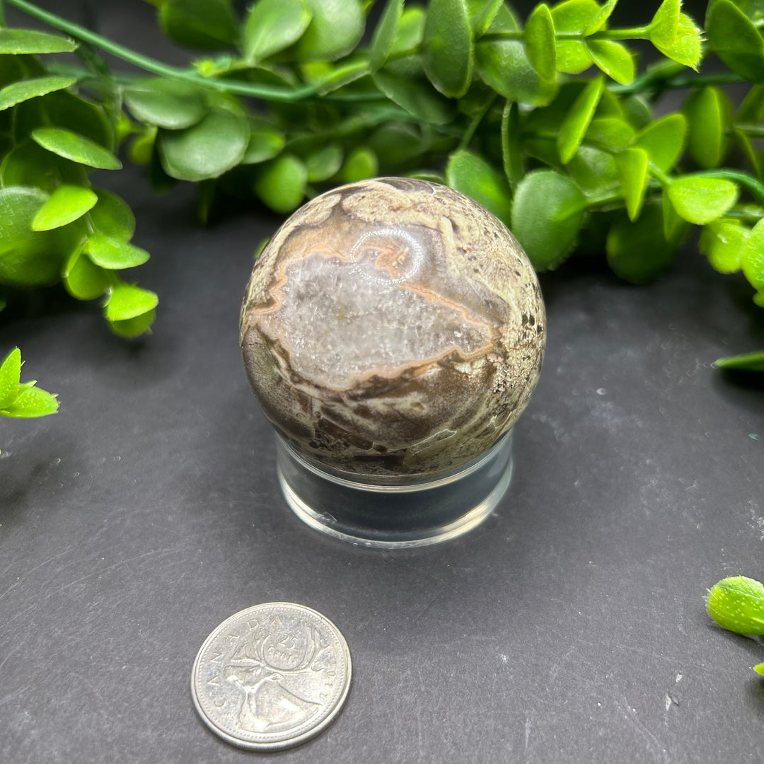 Rhyolite 50mm Sphere