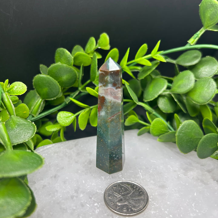 Bloodstone Polished Point(#3)