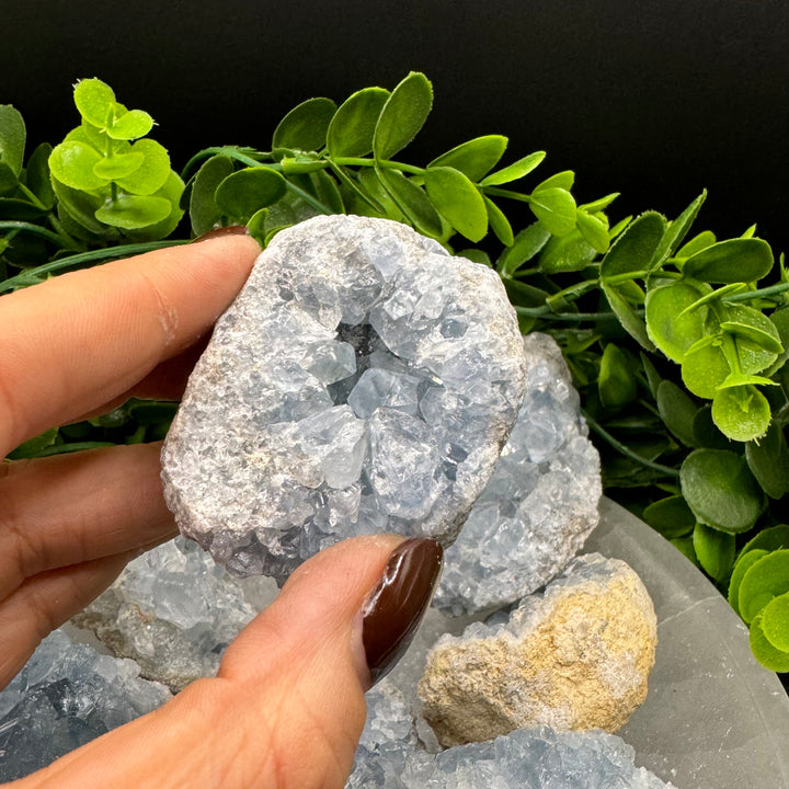 Celestite Geode Chunks (M)