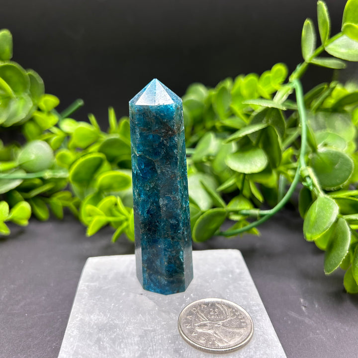 High Quality Blue Apatite Polished Point (#5)