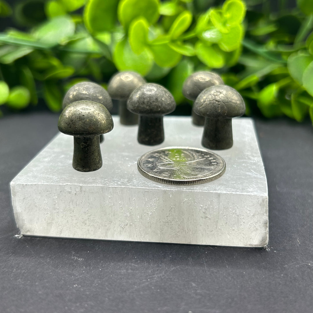 Pyrite Mini Mushroom