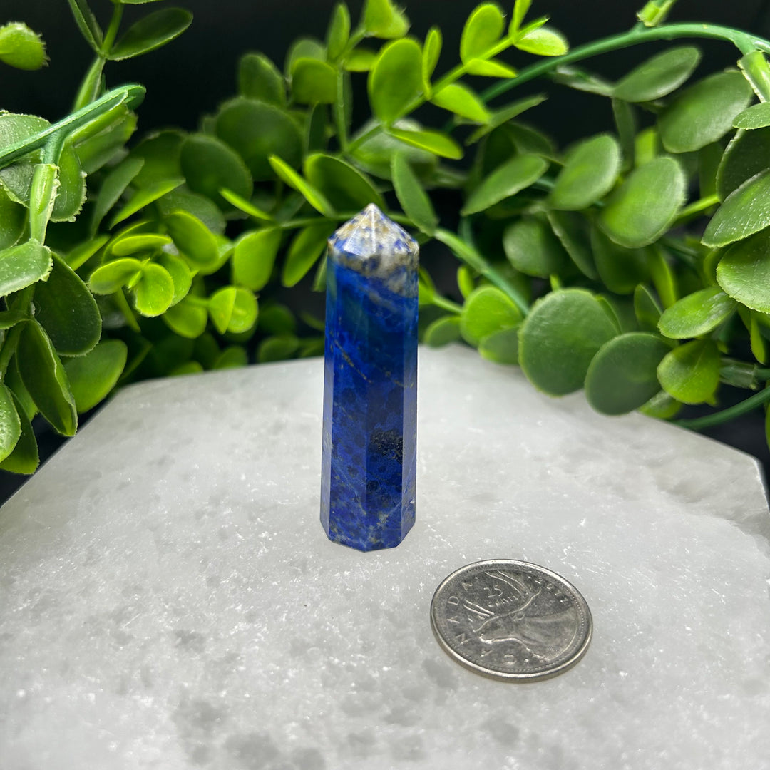 Lapis Lazuli Polished Point (#7)