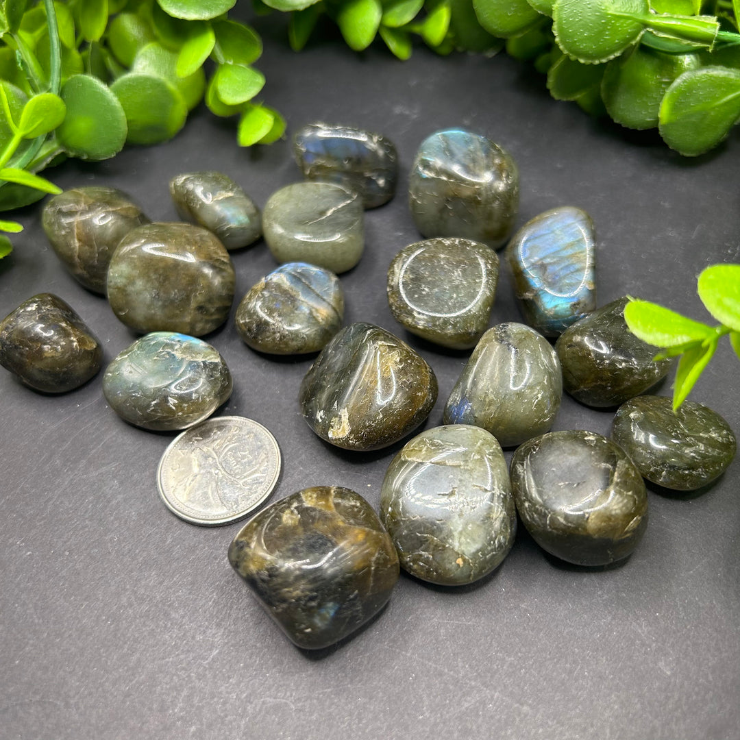 Labradorite Tumbled