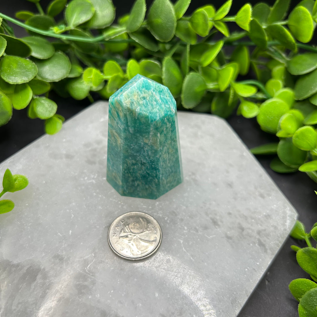 Amazonite Polished Point (#1)