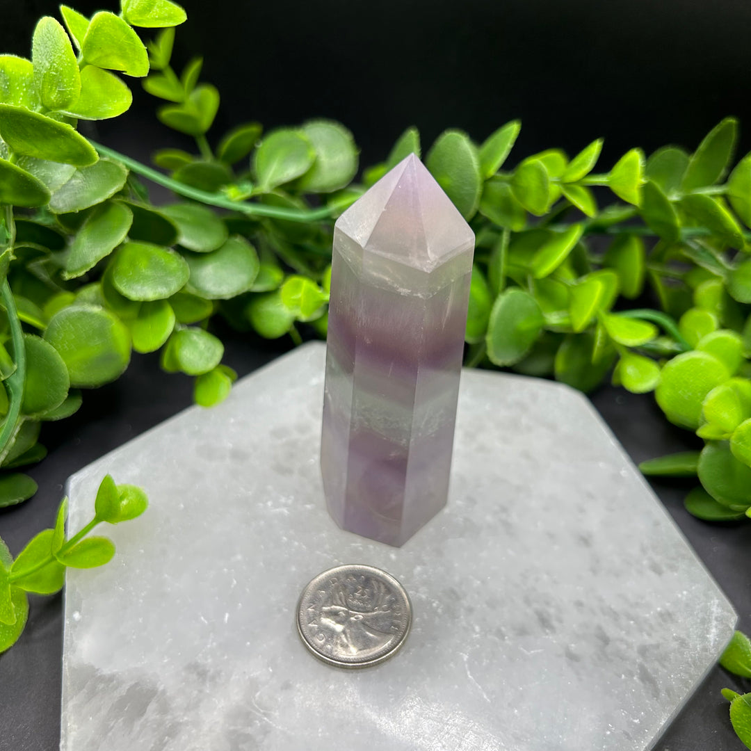 Pastel Fluorite Polished Point (#1)