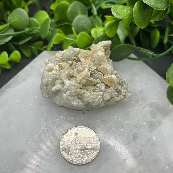 Apophyllite Zeolite Cluster(#17)