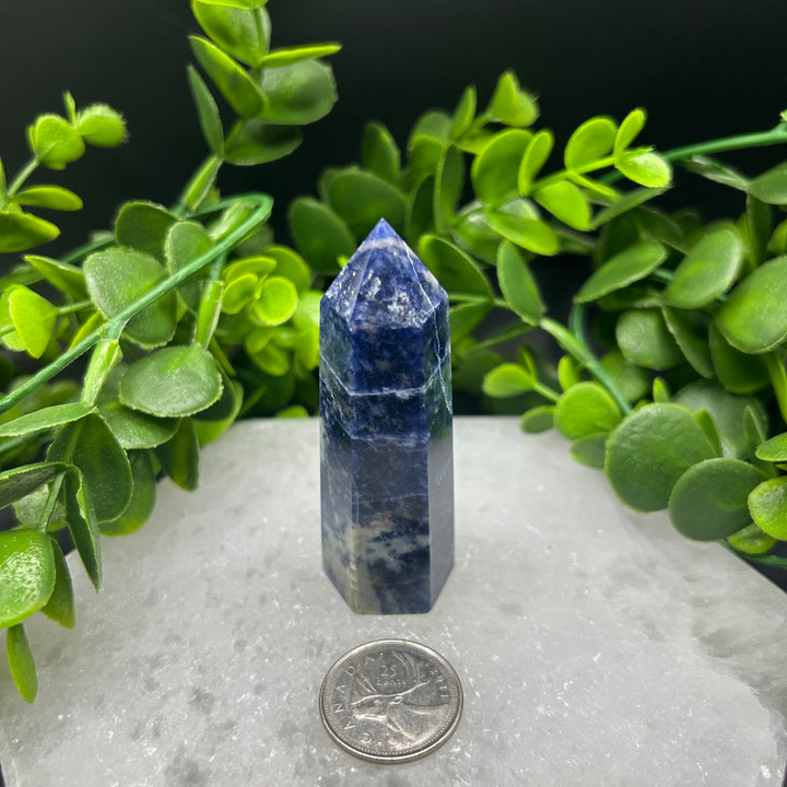 Sodalite Polished Point (#4)