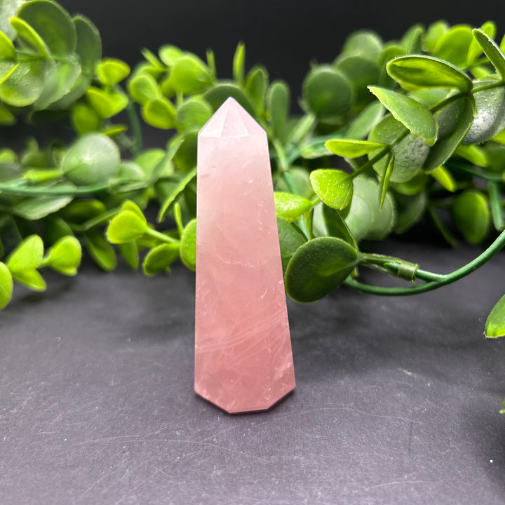 Rose Quartz Polished Point (#19)