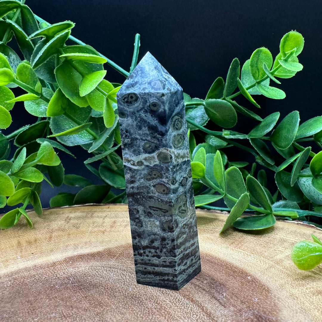 Kambaba Jasper Polished Point #6