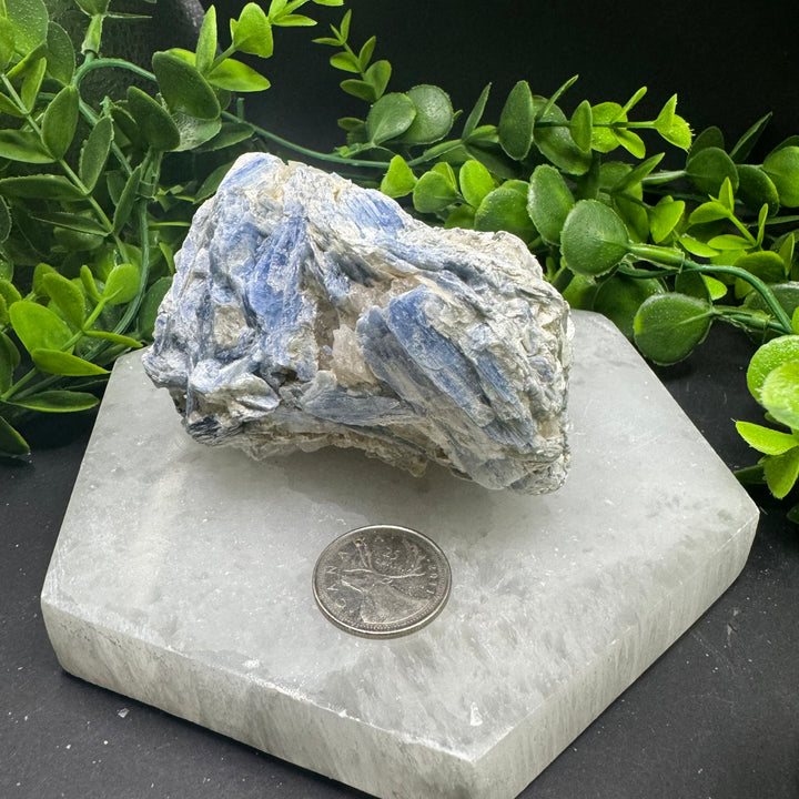 Blue Kyanite Cluster #9