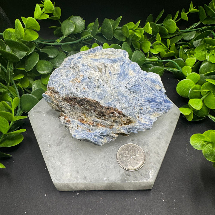 Blue Kyanite Cluster #3