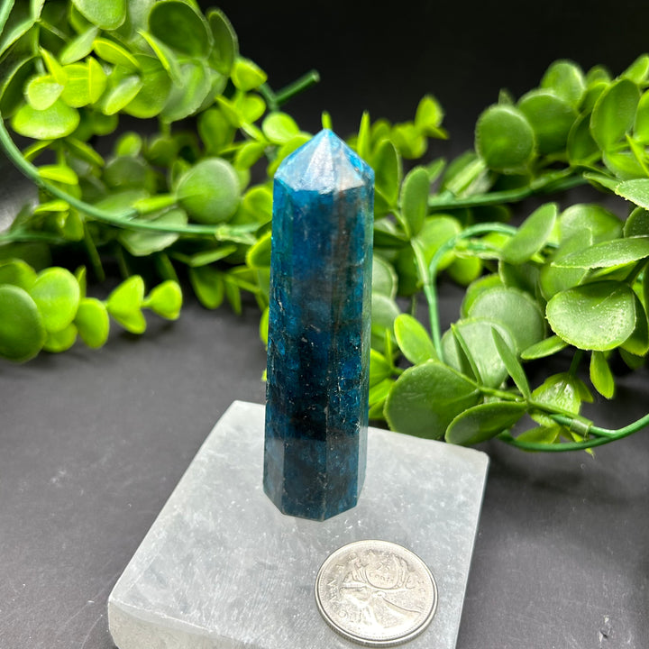 High Quality Blue Apatite Polished Point (#1)