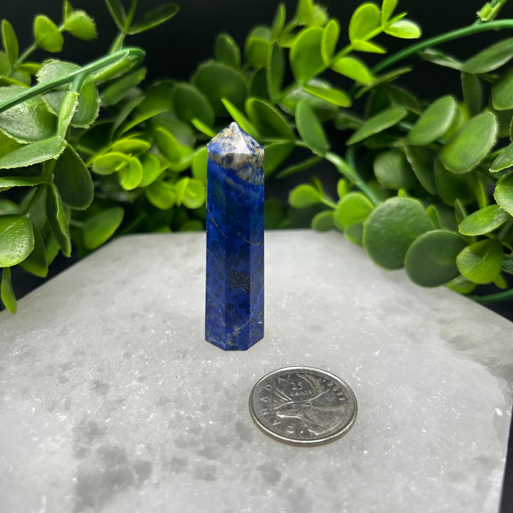 Lapis Lazuli Polished Point (#7)