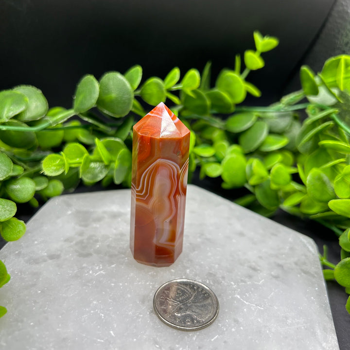 Carnelian Polished Point (#2)