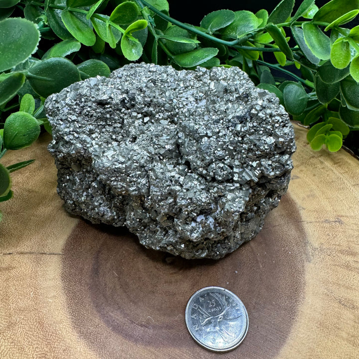 Pyrite Cluster #6 - 1064g