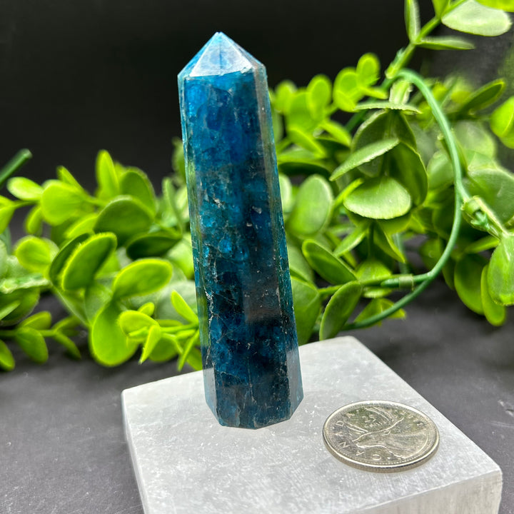 High Quality Blue Apatite Polished Point (#1)