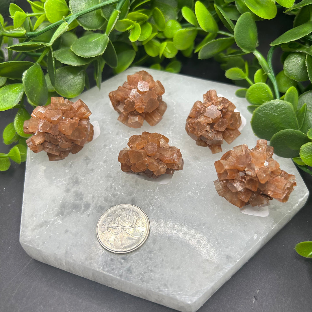 Aragonite Clusters (S)