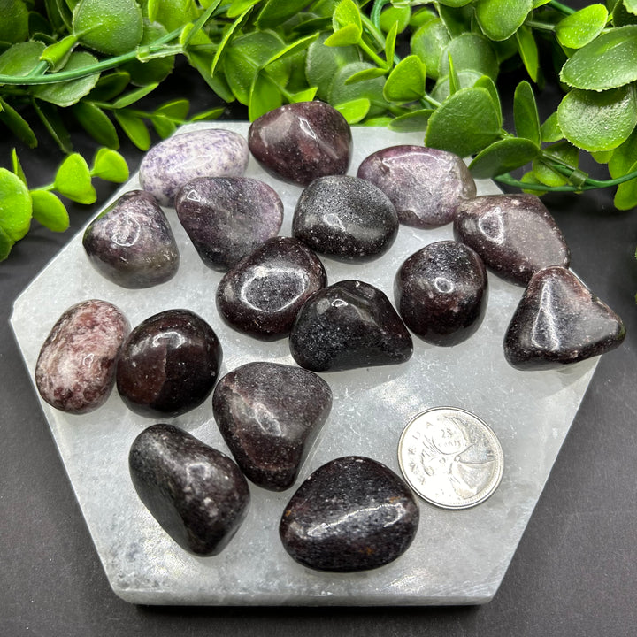 Dark Lepidolite Tumbled Stones