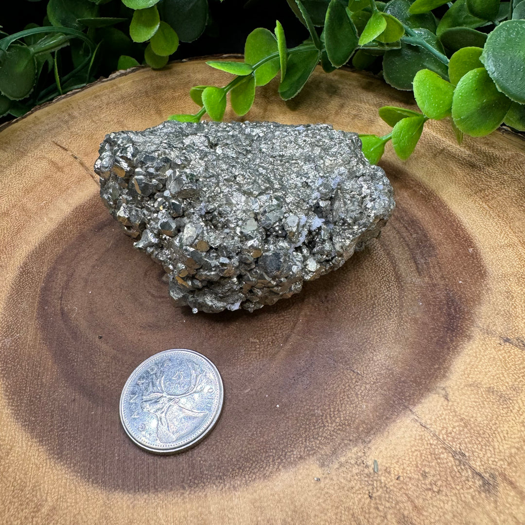 Pyrite Cluster #8- 319g