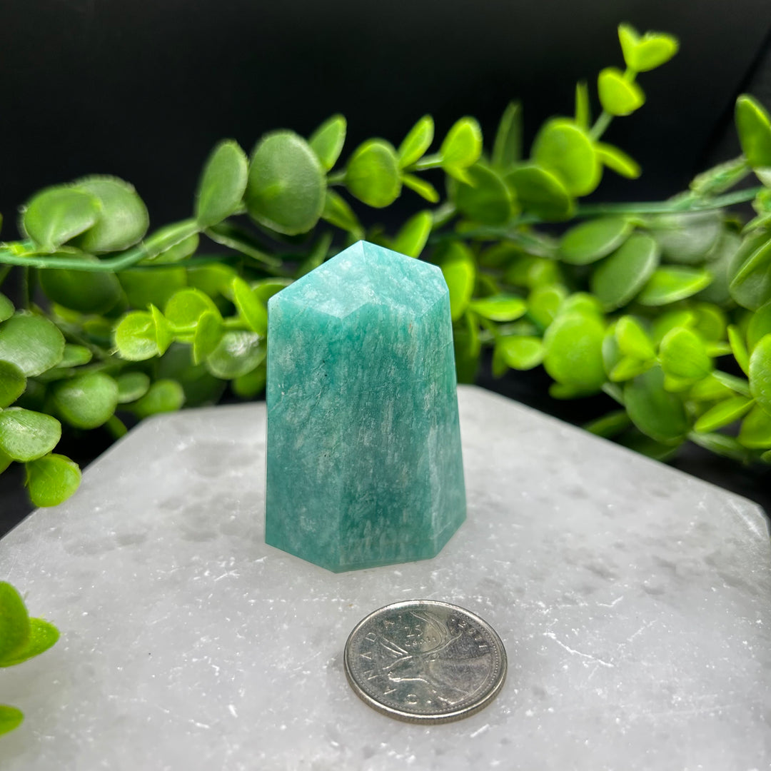 Amazonite Polished Point (#3)