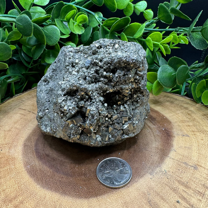 Pyrite Cluster #7- 1500g