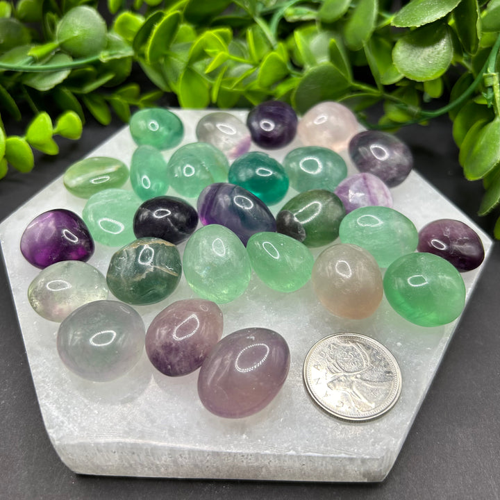 Fluorite Tumbled Stone (S)