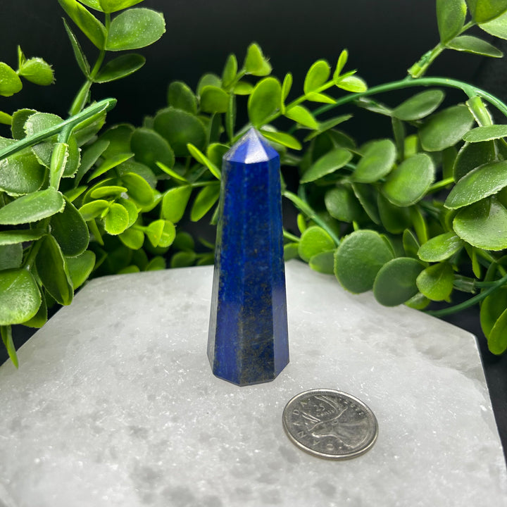 Lapis Lazuli Polished Point (#5)