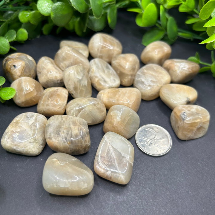 Moonstone Tumbled