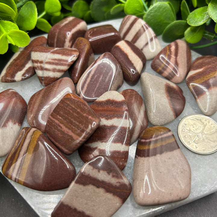 Shiva Lingam Tumbled Stones