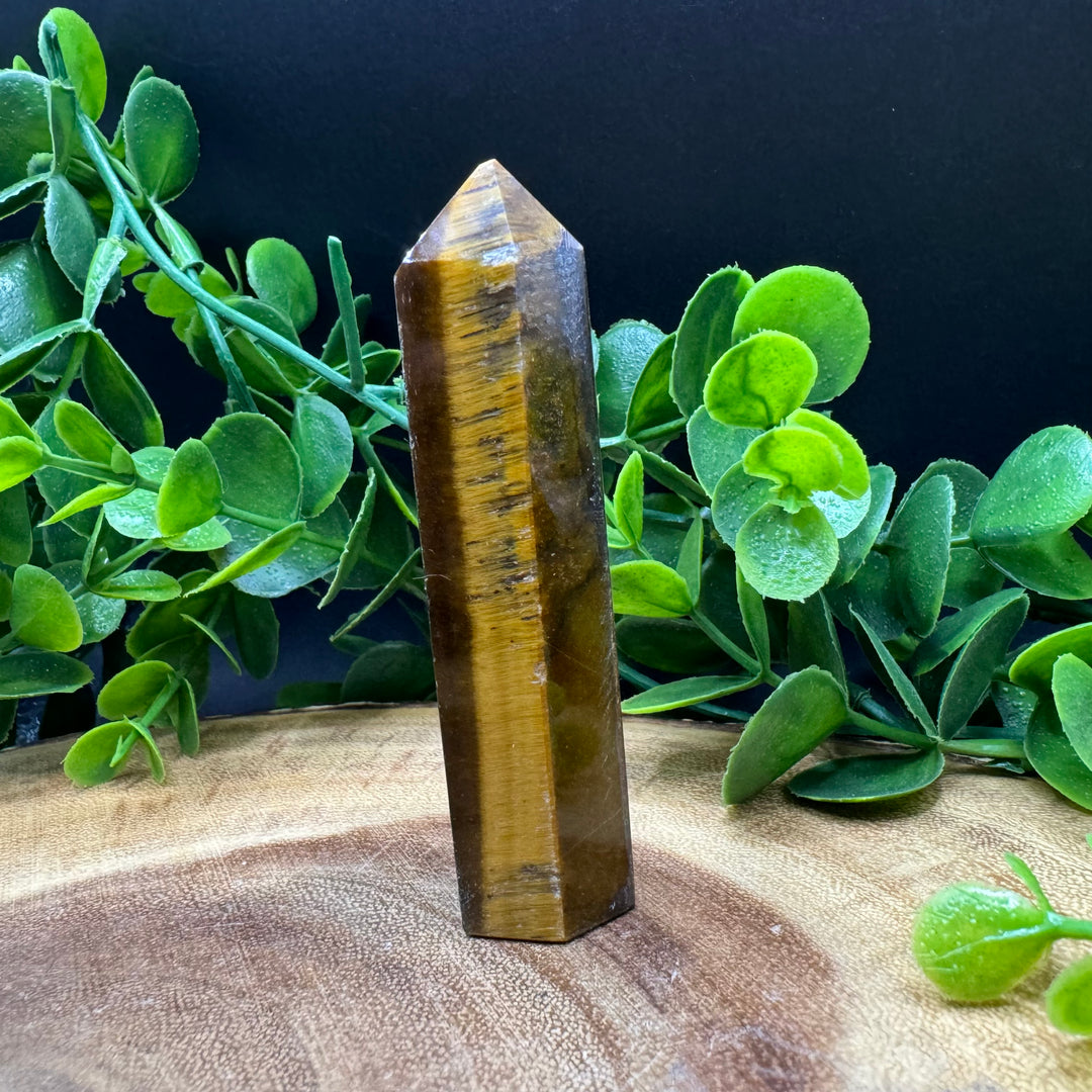 Tiger Eye Polished Point #5