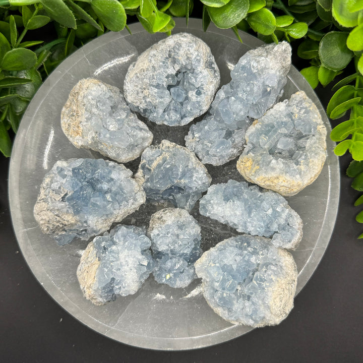 Celestite Geode Chunks (M)