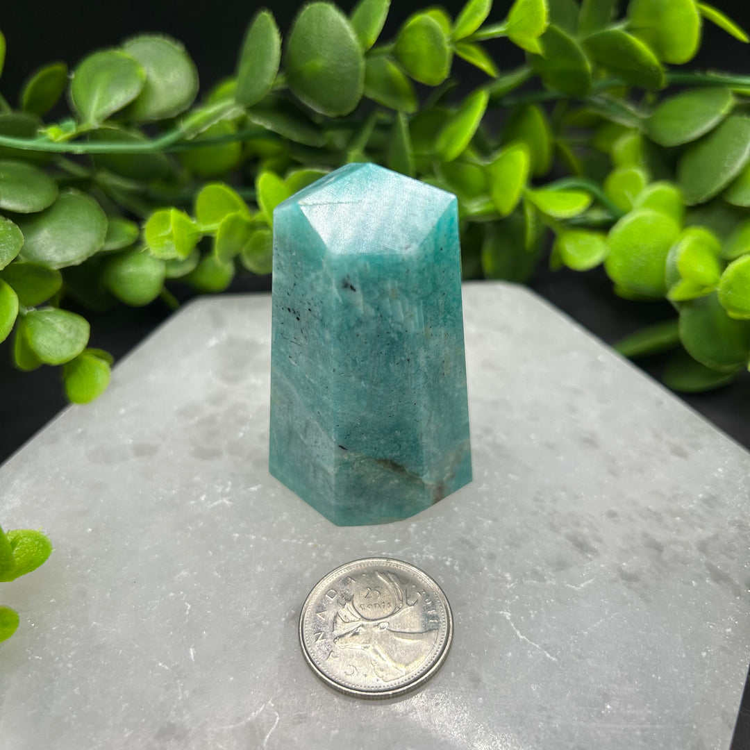 Amazonite Polished Point (#2)