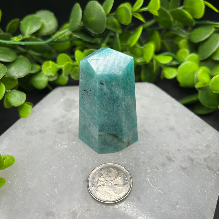 Amazonite Polished Point (#2)