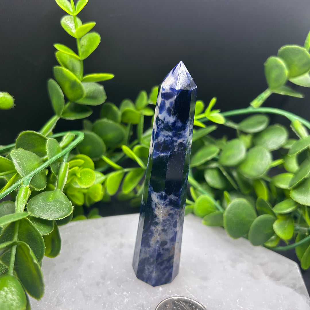 Sodalite Polished Point (#2)