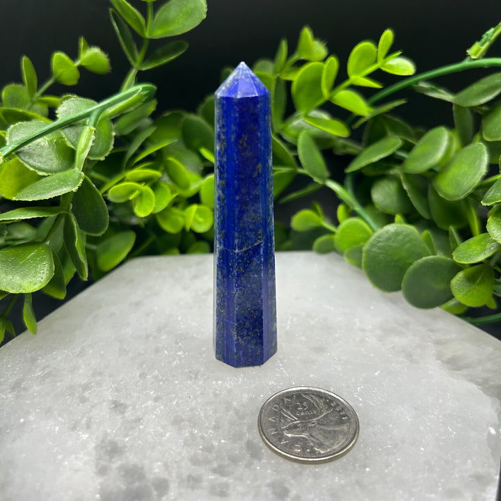 Lapis Lazuli Polished Point (#4)