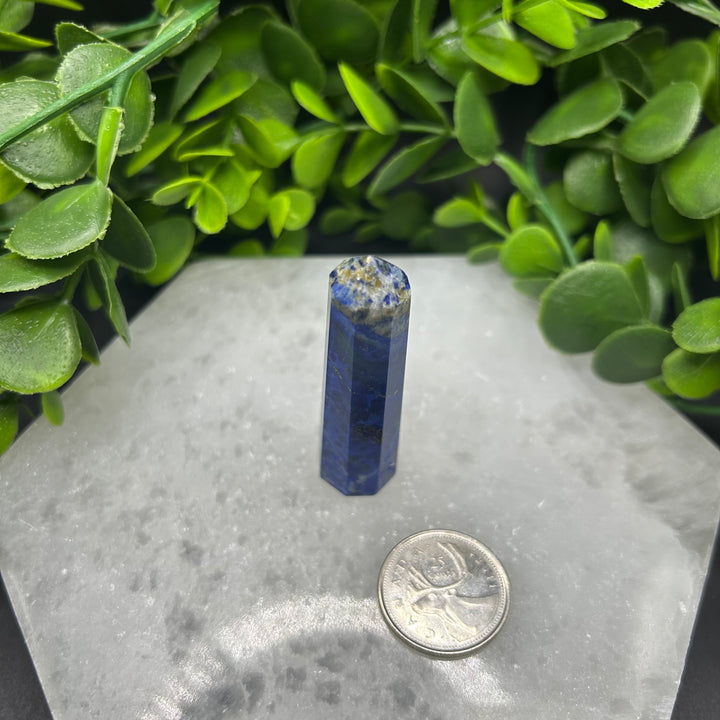 Lapis Lazuli Polished Point (#7)