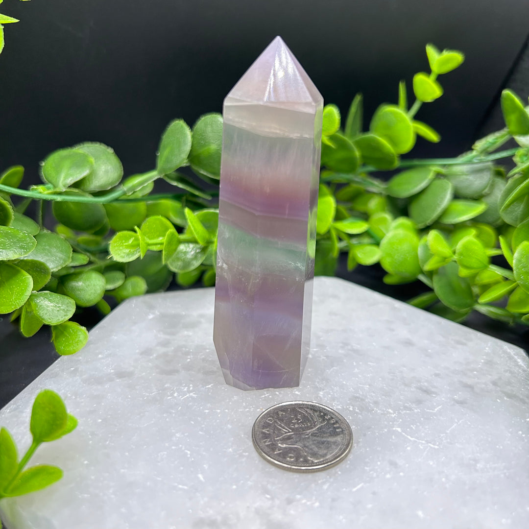 Pastel Fluorite Polished Point (#1)