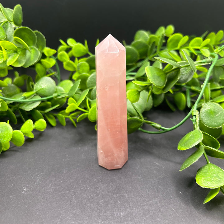 Rose Quartz Polished Point (#15)