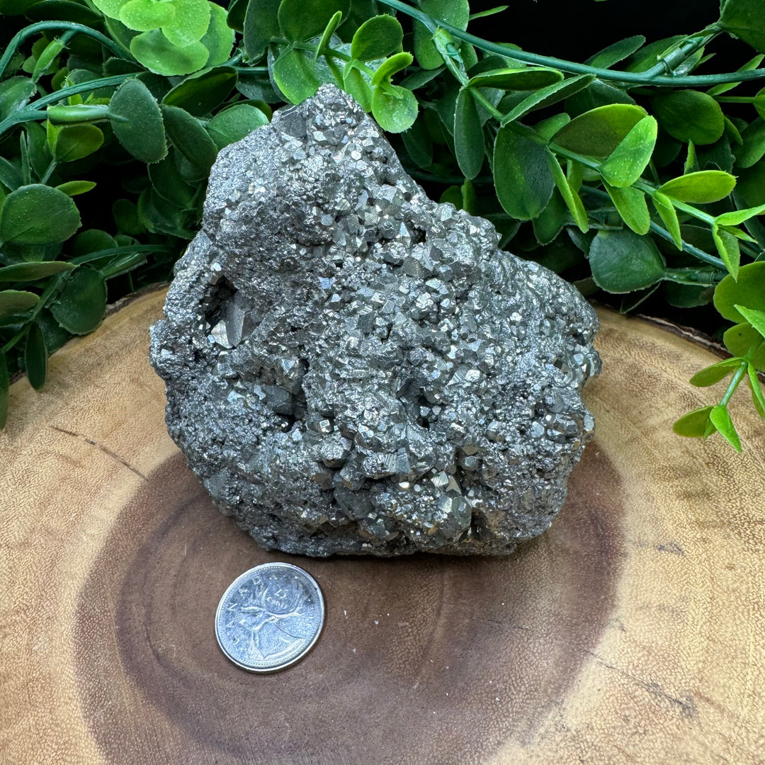 Pyrite Cluster #4 - 1266g