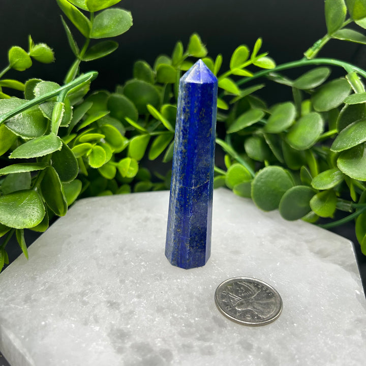 Lapis Lazuli Polished Point (#4)