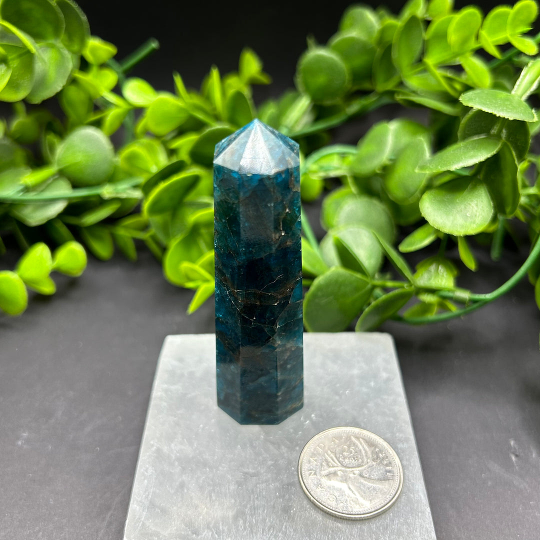 High Quality Blue Apatite Polished Point (#2)