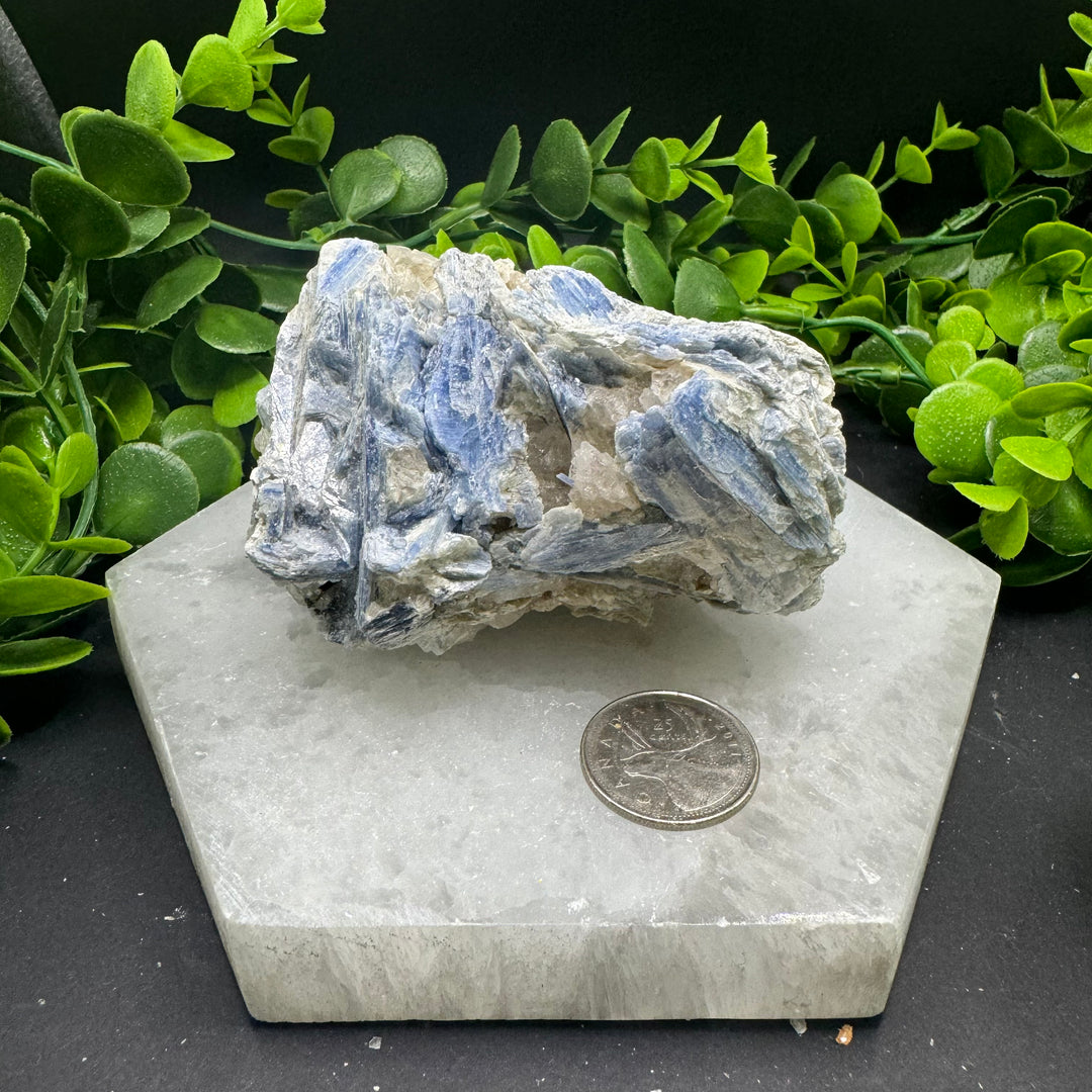 Blue Kyanite Cluster #9