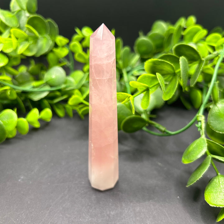 Rose Quartz Polished Point (#14)