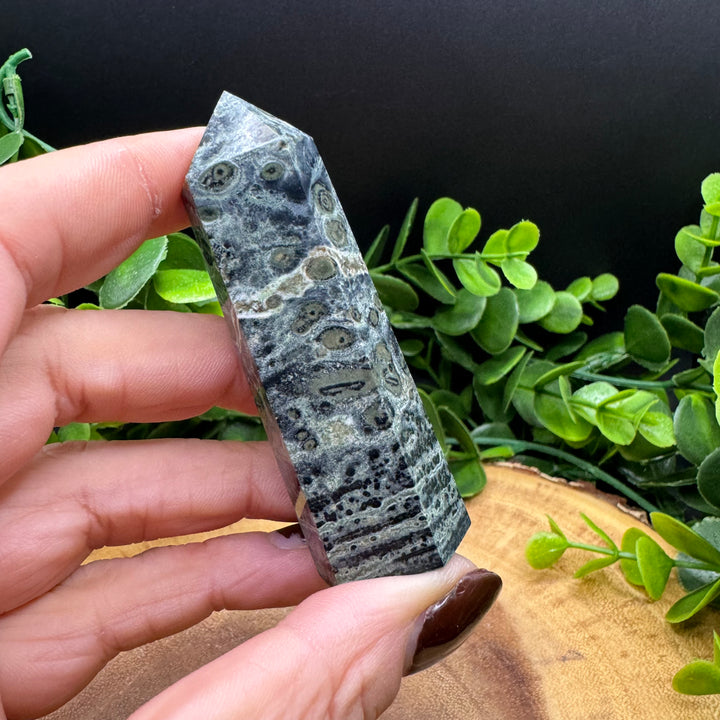 Kambaba Jasper Polished Point #6