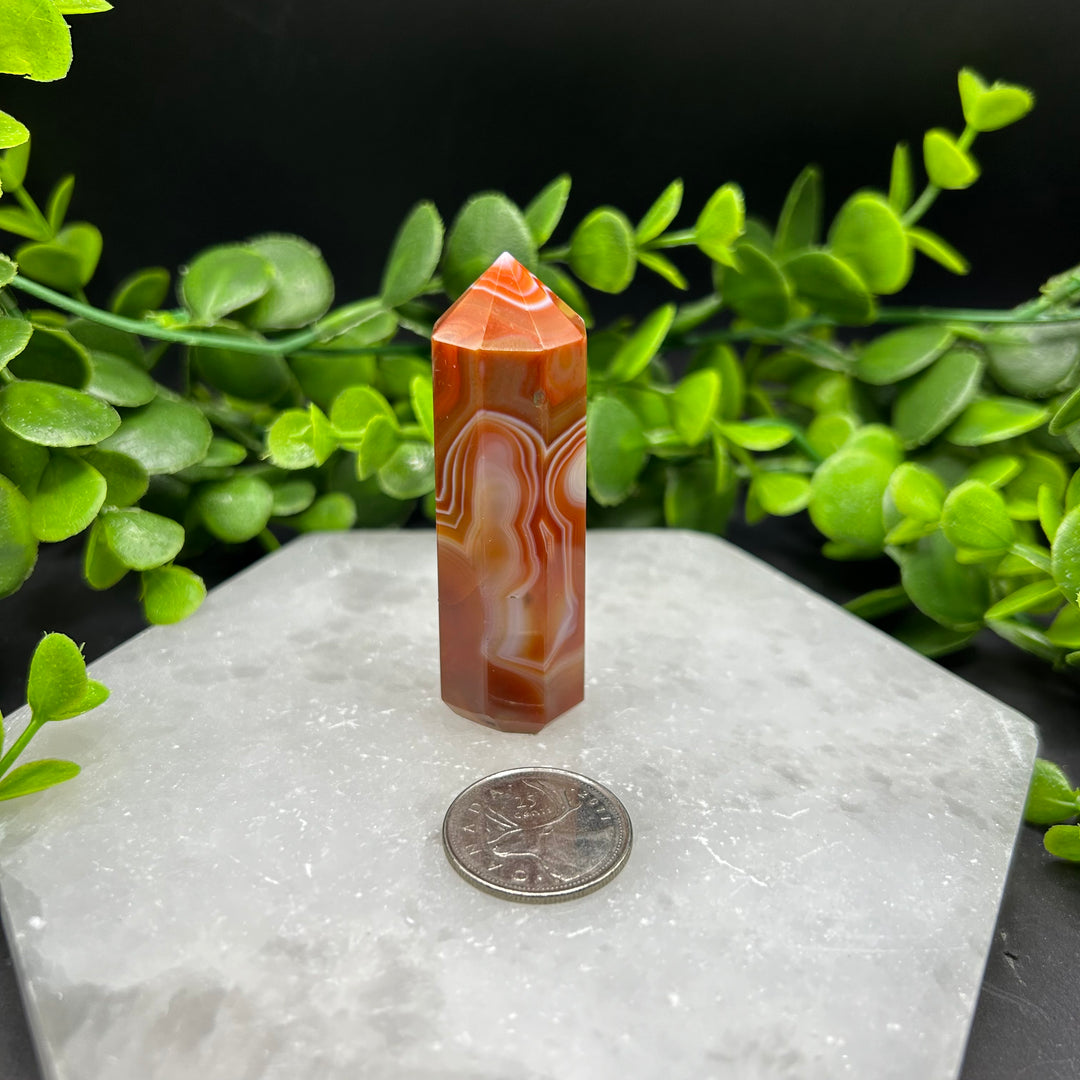 Carnelian Polished Point (#2)