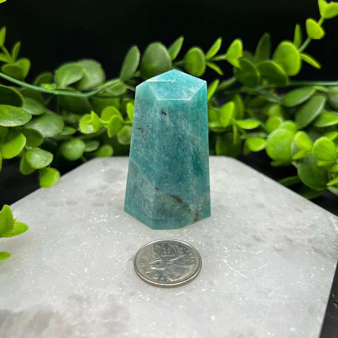 Amazonite Polished Point (#2)